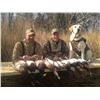 Image 3 : MARYLAND – TWO DAY WATERFOWL HUNT FOR FOUR HUNTERS