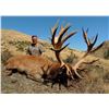 Image 2 : NEW ZEALAND – 5 DAY 1X1 RED STAG RIFLE HUNT FOR 1 HUNTER