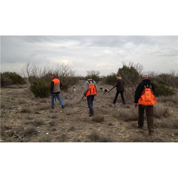 TEXAS – 2 DAY QUAIL HUNT FOR 2 HUNTERS