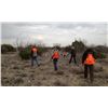Image 1 : TEXAS – 2 DAY QUAIL HUNT FOR 2 HUNTERS