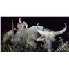 Image 1 : SOUTH AFRICA – 10 DAY FEMALE BUFFALO HUNT FOR 2 HUNTERS