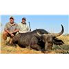 Image 2 : SOUTH AFRICA – 10 DAY FEMALE BUFFALO HUNT FOR 2 HUNTERS