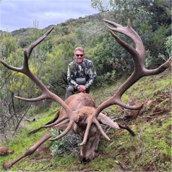 SPAIN – 3 DAY/3 NIGHT COMBINATION BIG GAME HUNT FOR 1 HUNTER