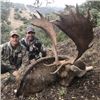 Image 2 : SPAIN – 3 DAY/3 NIGHT COMBINATION BIG GAME HUNT FOR 1 HUNTER