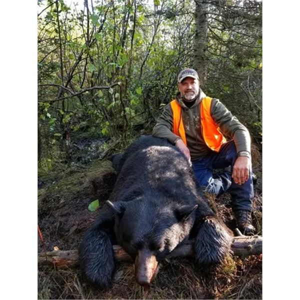 MICHIGAN – 3 DAY BLACK BEAR HUNT FOR ONE HUNTER