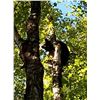 Image 2 : MICHIGAN – 3 DAY BLACK BEAR HUNT FOR ONE HUNTER