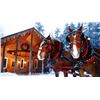 Image 4 : MICHIGAN – 2 NIGHT DELUXE SUITE ELK VIEWING RIDE & DINNER FOR 2