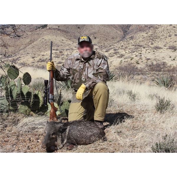 ARIZONA – 4 DAY JAVELINA HUNT WITH ANY WEAPONS FOR 1 HUNTER
