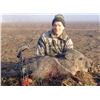 Image 2 : ARIZONA – 4 DAY JAVELINA HUNT WITH ANY WEAPONS FOR 1 HUNTER