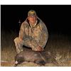Image 3 : ARIZONA – 4 DAY JAVELINA HUNT WITH ANY WEAPONS FOR 1 HUNTER