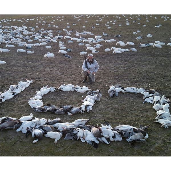 ARKANSAS – NO LIMIT 1.5 DAY SNOW GOOSE HUNT FOR 2 HUNTERS