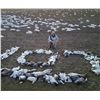 Image 1 : ARKANSAS – NO LIMIT 1.5 DAY SNOW GOOSE HUNT FOR 2 HUNTERS