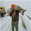 Image 2 : MICHIGAN – 2 NIGHT THERMAL COYOTE HUNT FOR 2 HUNTERS