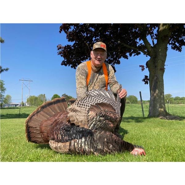 MICHIGAN – 5 DAY SPRING TURKEY HUNT FOR ONE HUNTER WITH SHOTGUN OR BOW