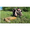 Image 1 : SERBIA – 5 DAY ROE DEER HUNT WITH RIFLE FOR 1 HUNTER & 1 OBSERVER