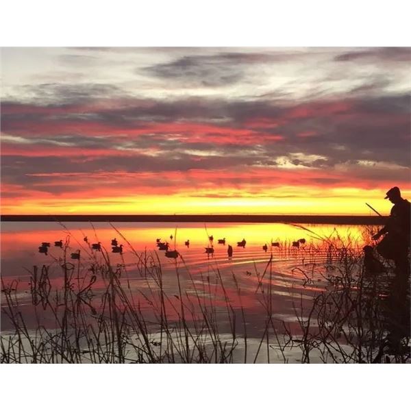 TEXAS 3 DAY / 3 NIGHT SANDHILL CRANE HUNT FOR 1 HUNTERS