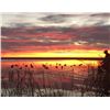 Image 1 : TEXAS 3 DAY / 3 NIGHT SANDHILL CRANE HUNT FOR 1 HUNTERS