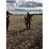 Image 3 : KENTUCKY SWAMP RABBIT HUNT FOR TWO HUNTERS
