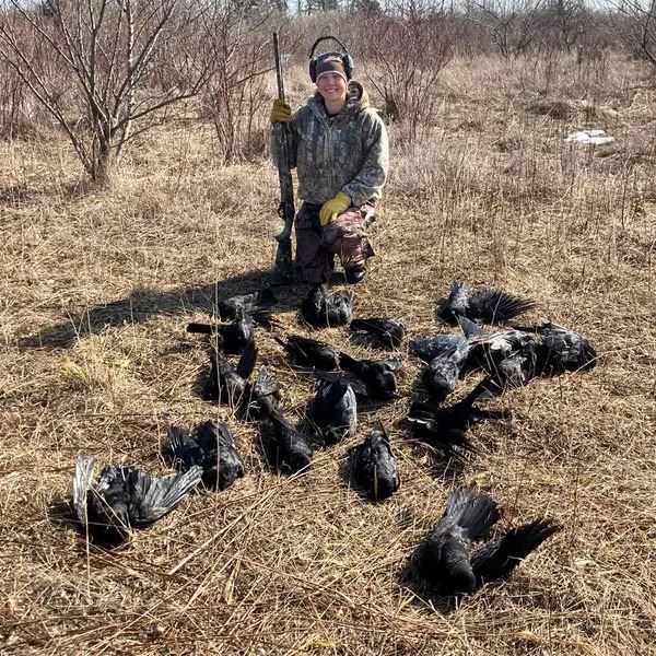 MICHIGAN – 1 DAY CROW HUNT FOR 3 HUNTERS