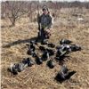 Image 1 : MICHIGAN – 1 DAY CROW HUNT FOR 3 HUNTERS