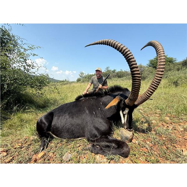 SOUTH AFRICA – 7 DAY SABLE SAFARI FOR 1 HUNTER