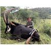 Image 2 : SOUTH AFRICA – 7 DAY SABLE SAFARI FOR 1 HUNTER