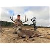 Image 1 : CALIFORNIA – 3 DAY/ BLACK TAIL DEER HUNT FOR 1 HUNTER