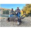 Image 2 : CALIFORNIA – 3 DAY/ BLACK TAIL DEER HUNT FOR 1 HUNTER