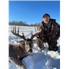 Image 3 : ALBERTA – 6 DAY/6 NIGHT WHITETAIL DEER HUNT FOR 1 HUNTERS