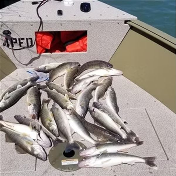 MICHIGAN – CHOICE DETROIT RIVER WALLEYE/ST CLAIR RIVER STURGEON/OR LAYOUT BLIND DUCK HUNT F