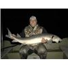 Image 2 : MICHIGAN – CHOICE DETROIT RIVER WALLEYE/ST CLAIR RIVER STURGEON/OR LAYOUT BLIND DUCK HUNT F