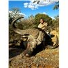 Image 1 : SOUTH AFRICA – 7 DAY CAPE BUFFALO RIFLE HUNT FOR 1 HUNTER & 1 OBSERVER