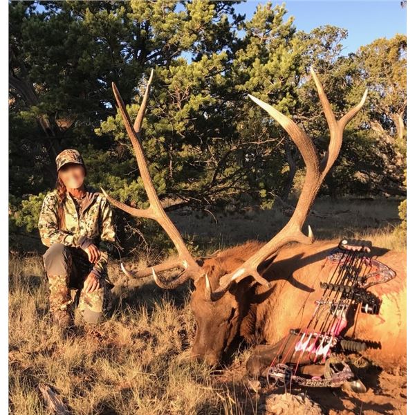 NEW MEXICO – 5 DAY GUN/6 DAY BOW ELK HUNT FOR 1 HUNTER