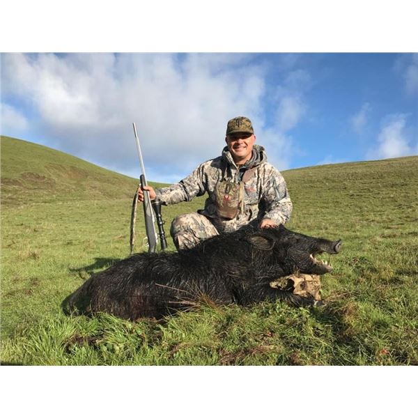 CALIFORNIA – 2 DAY/2 NIGHT HOG HUNT FOR 4 HUNTERS