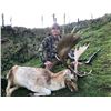 Image 3 : NEW ZEALAND – 5 DAY 2X1 BIG GAME RIFLE HUNT FOR 2 HUNTERS