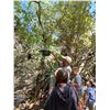 Image 2 : SOUTH AFRICA – 8 DAY FAMILY or COUPLES AFRICAN ADVENTURE for 4 PEOPLE