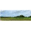 Image 3 : MICHIGAN FULL PROPERTY CONSULTATION