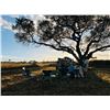 Image 2 : SOUTH AFRICA – 7 DAY WHITE RHINO DART HUNT