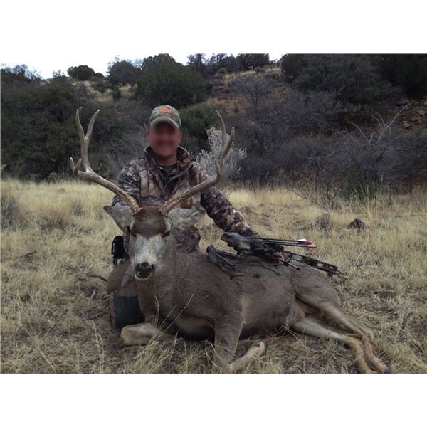 ARIZONA – 5 DAY MULE DEER ARCHERY HUNT FOR 1 HUNTER