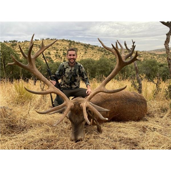 SPAIN – 4 DAY/3 NIGHT COMBINATION BIG GAME HUNT FOR 1 HUNTER