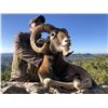 Image 2 : SPAIN – 4 DAY/3 NIGHT COMBINATION BIG GAME HUNT FOR 1 HUNTER