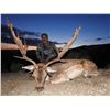 Image 3 : SPAIN – 4 DAY/3 NIGHT COMBINATION BIG GAME HUNT FOR 1 HUNTER