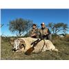 Image 2 : ARGENTINA – 5 DAY BIG GAME HUNT FOR FOUR HUNTERS