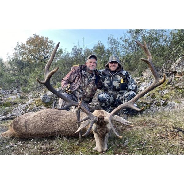 SPAIN – 3 DAY HUNT FOR TROPHY IBERIAN RED DEER FOR ONE HUNTER