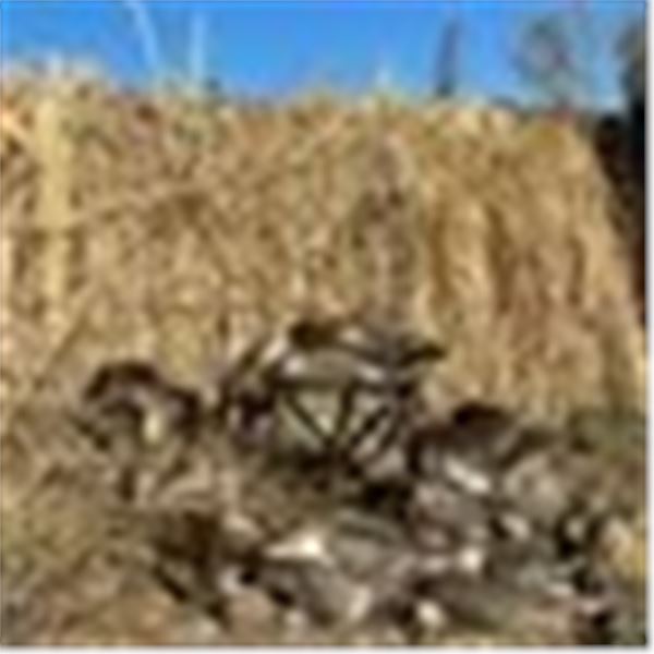 NORTH DAKOTA – 4 DAY WATERFOWL HUNT FOR 2 HUNTERS