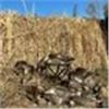 Image 1 : NORTH DAKOTA – 4 DAY WATERFOWL HUNT FOR 2 HUNTERS