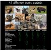 Image 4 : 3 YEAR PREMIUM MEMBERSHIP TO ZERO OUTFITTER FEES