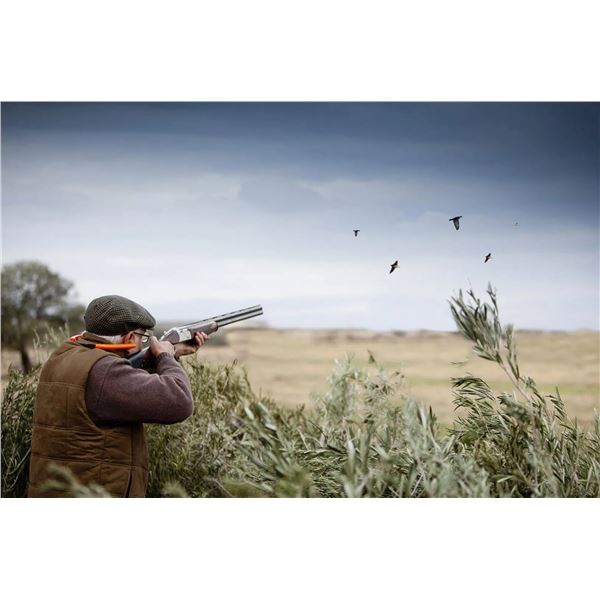 ARGENTINA – 4 DAY / 3 NIGHT DOVE HUNT FOR 4 HUNTERS