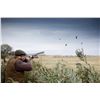 Image 1 : ARGENTINA – 4 DAY / 3 NIGHT DOVE HUNT FOR 4 HUNTERS