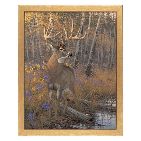 The Breen Buck by Michael Sieve